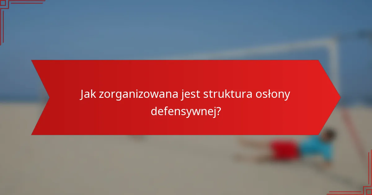 Jak zorganizowana jest struktura osłony defensywnej?